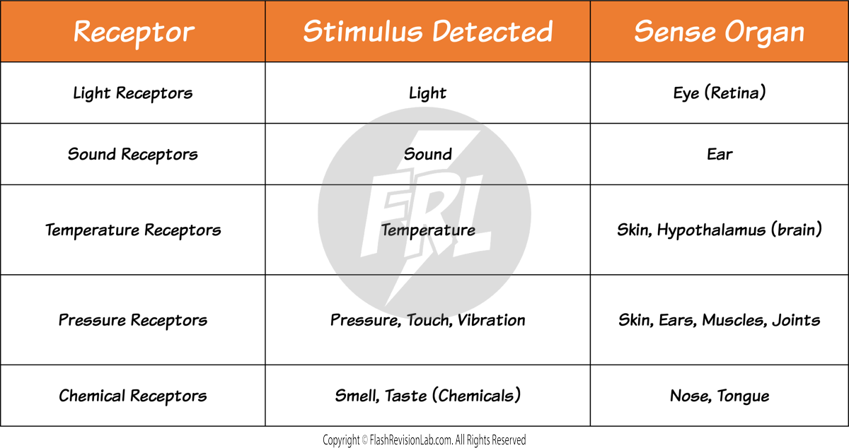 Receptors